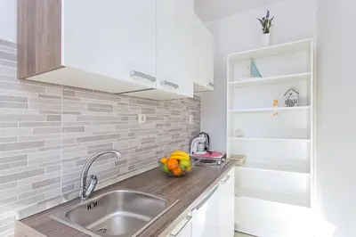 Kuhinja ili čajna kuhinja u objektu Apartment Biokovo Nature Park