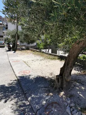 Okolica apartmana ili susjedstvo u blizini