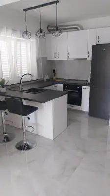 Kuhinja ili čajna kuhinja u objektu Apartmani Miletić
