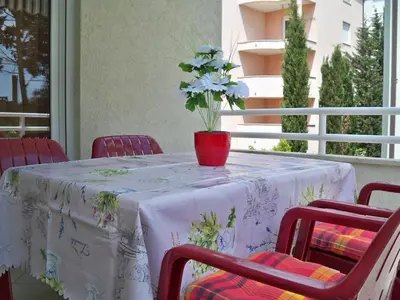 Balkon ili terasa u objektu Apartmani Perkovic