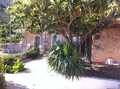 Vrt u objektu Apartments with a parking space Ivan Dolac, Hvar - 15483