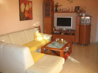 TV i/ili zabavni centar u objektu Apartments with a parking space Ivan Dolac, Hvar - 15483