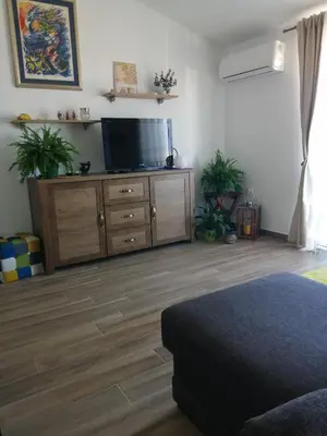 TV i/ili zabavni centar u objektu Apartment Fran