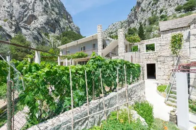 Pogled na planine ili pogled na planine iz apartmana