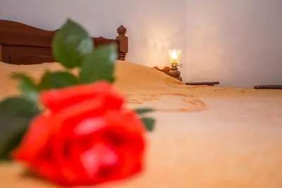Krevet ili kreveti u jedinici u objektu Vila Anita