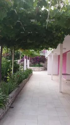 Vrt u objektu Apartments and rooms with parking space Hvar - 15706