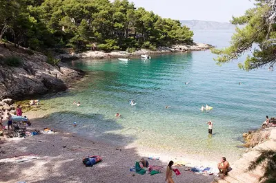 Priroda u blizini apartmana
