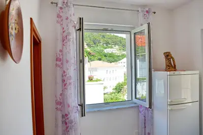 Kuhinja ili čajna kuhinja u objektu Apartments Mladinić