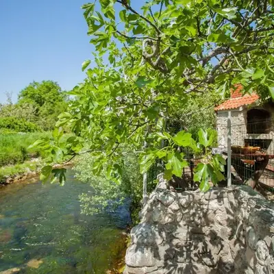 House next to the river Miro