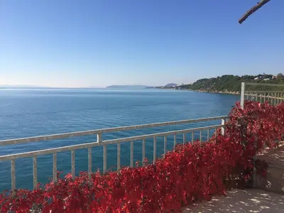 Priroda u blizini privatnih smještaja