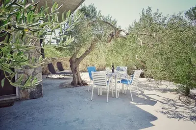 Vrt u objektu Secluded holiday house Povlja, Brac - 14500