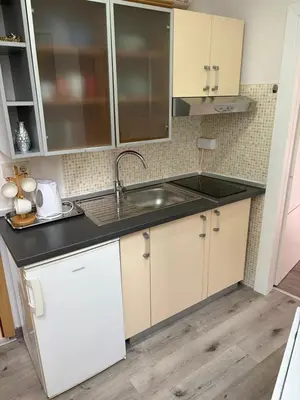 Kuhinja ili čajna kuhinja u objektu Baška Voda Apartman Nino