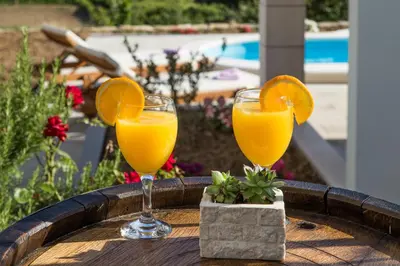 Pića u objektu Holiday Village Home Kamenica