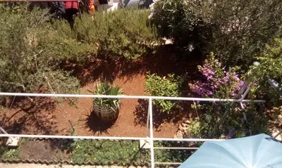 Vrt u objektu Relax Garden