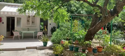 Vrt u objektu Studio apartments Roza - A charming oasis in the centre of Makarska