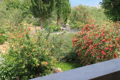 Vrt u objektu Oasis Apartments
