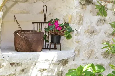 Vrt u objektu Seaside holiday house Baska Voda - Makarska - 16138