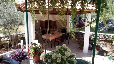Vrt u objektu Apartments with parking space Milna, Brac - 11088