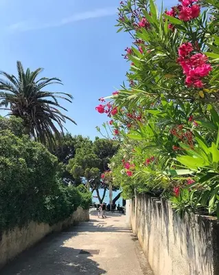 Priroda u blizini apartmana