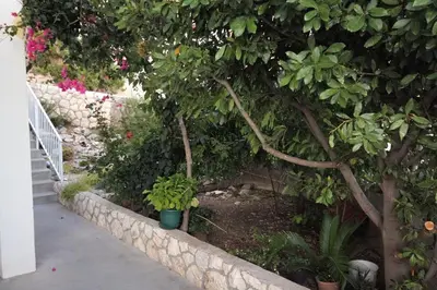 Vrt u objektu Studio Apartment in Hvar Town with Sea View, Terrace, Air Conditioning, Wi-Fi (3615-4)