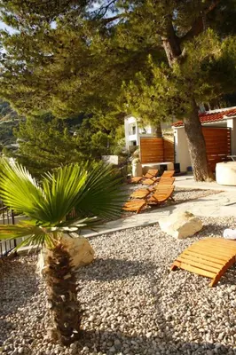 Vrt u objektu Apartment in Brela with sea view, terrace, air conditioning, Wi-Fi (3524-2)