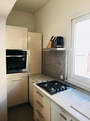 Kuhinja ili čajna kuhinja u objektu Apartman Stević