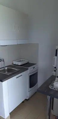 Kuhinja ili čajna kuhinja u objektu Apartmani Marijana