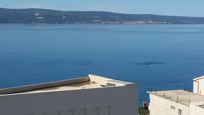 Priroda u blizini apartmana