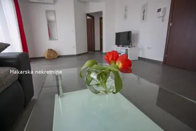 TV i/ili zabavni centar u objektu Apartman Tony