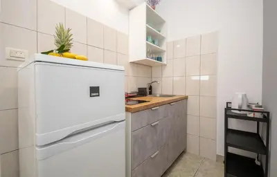 Kuhinja ili čajna kuhinja u objektu Apartments Ivan