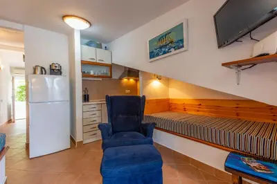 Kuhinja ili čajna kuhinja u objektu Janus apartments