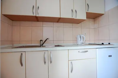 Kuhinja ili čajna kuhinja u objektu Apartmani Pezo