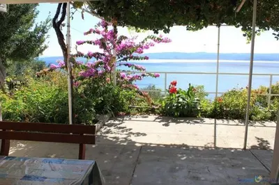 Priroda u blizini apartmana