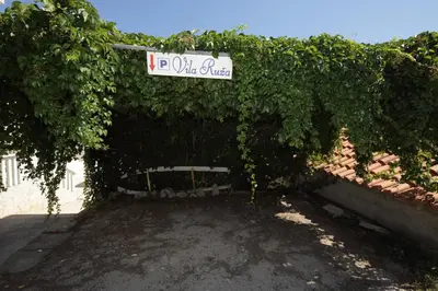 Vrt u objektu Villa Ruža