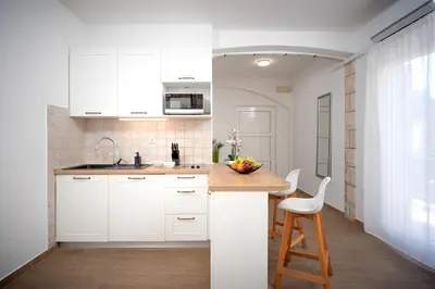 Kuhinja ili čajna kuhinja u objektu Villa Rajski Dvor