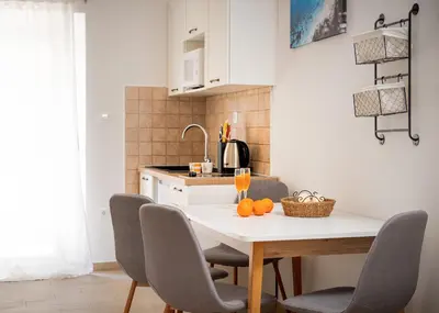 Kuhinja ili čajna kuhinja u objektu Villa Rajski Dvor