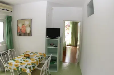 TV i/ili zabavni centar u objektu Apartmani Šurlin