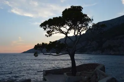 Priroda u blizini apartmana