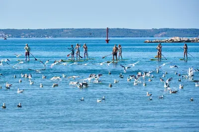 Priroda u blizini turističkih naselja