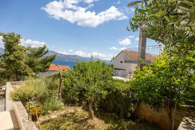 Priroda u blizini apartmana