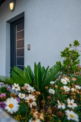 Vrt u objektu Apartments Deluxe Vučko