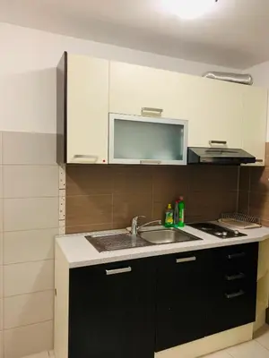 Kuhinja ili čajna kuhinja u objektu Adriatik Paradise