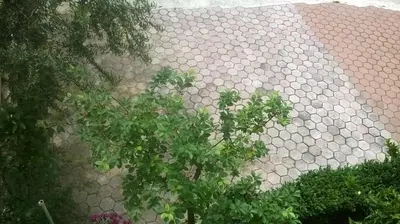 Vrt u objektu Apartman Renata