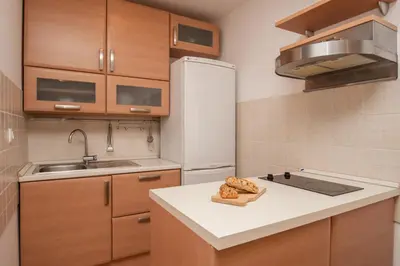Kuhinja ili čajna kuhinja u objektu Villa Dalmatia Apartments