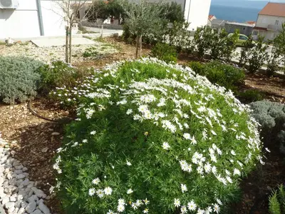 Vrt u objektu Apartments Lovely Croatia