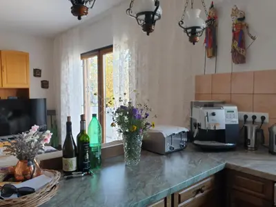 Kuhinja ili čajna kuhinja u objektu 209 Zavala Ferienwohnung