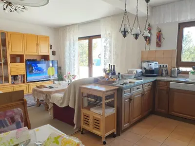 Kuhinja ili čajna kuhinja u objektu 209 Zavala Ferienwohnung
