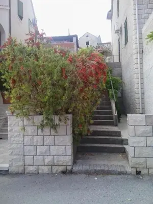 Tlocrt objekta Apartment Miljana