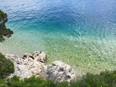 Priroda u blizini apartmana