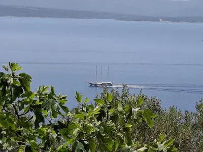 Priroda u blizini apartmana